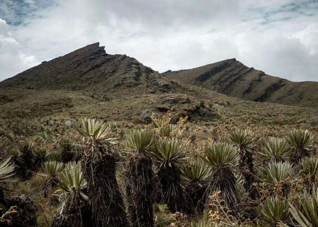 213a1fb5-299d-4c66-a0a6-41764306e0bb